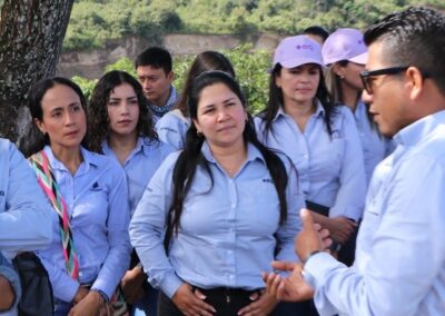 Proyectos de consultorías