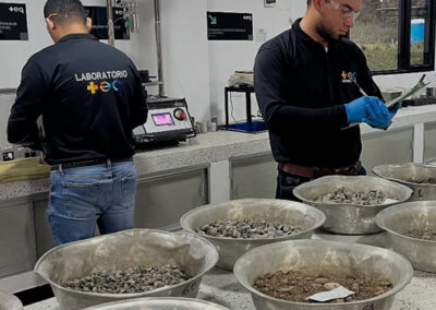 Proyecto Industriales